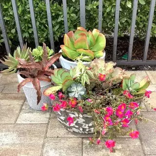 flower arrangement - hoa gardening services