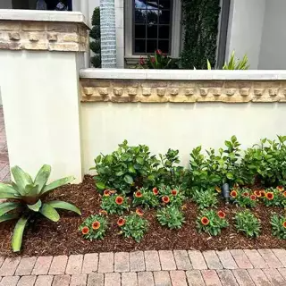 Garden outside a home - commercial gardening services