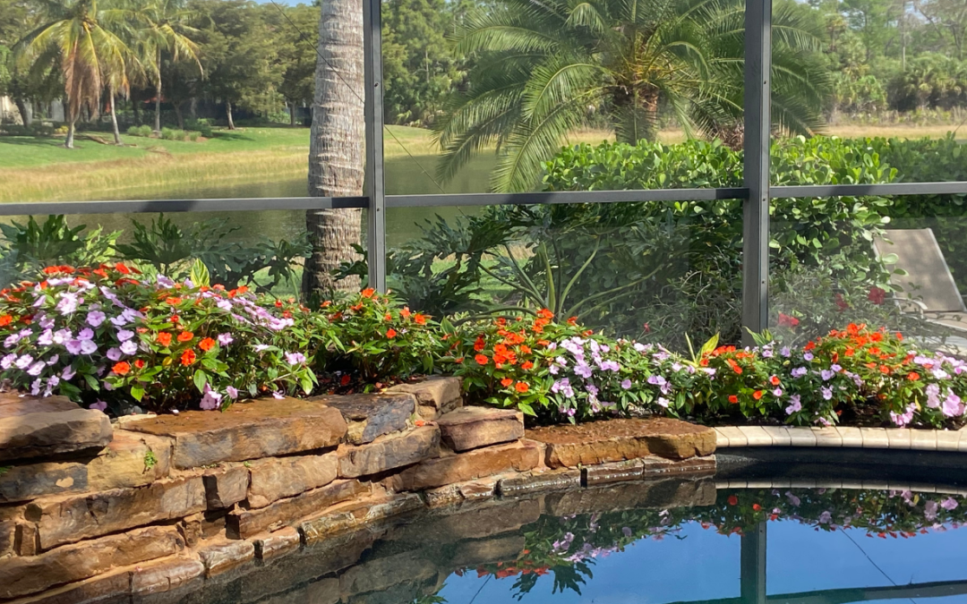 5 Tips for Hydrating Flowers Through Winter