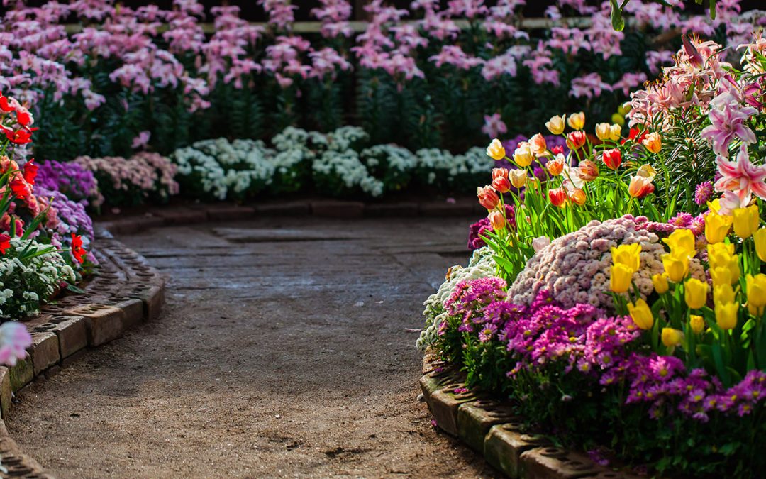 How do you know if a botanical garden is appropriate for your yard?