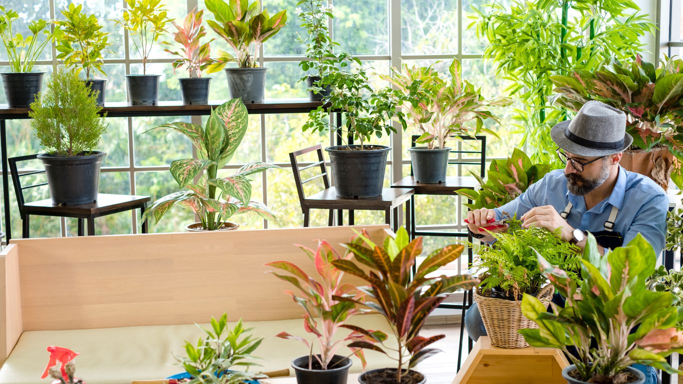 a professional gardener taking care of potted plants