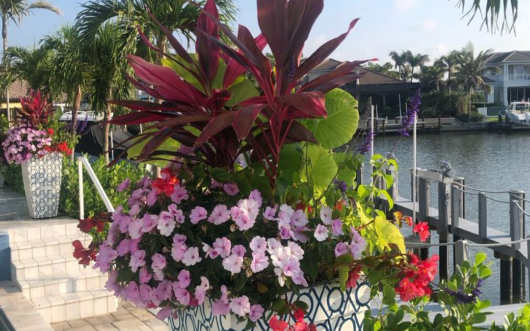 The Essential Role of Potted Plants for HOA Compliance