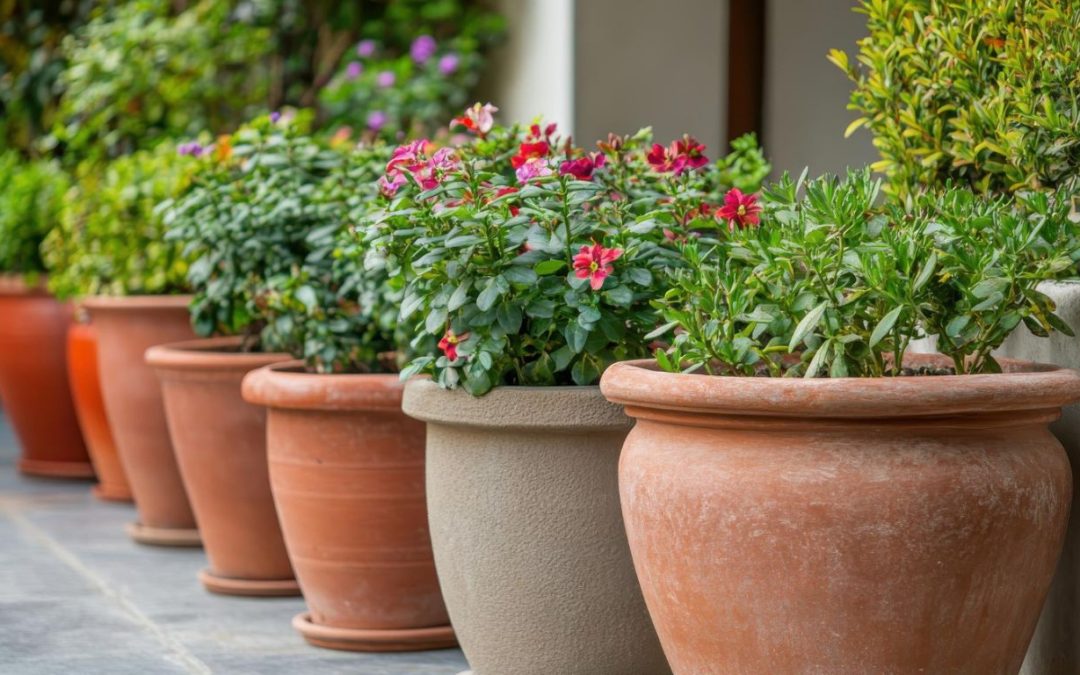 The Benefits of Container Gardening for Enhancing Your Home’s Curb Appeal