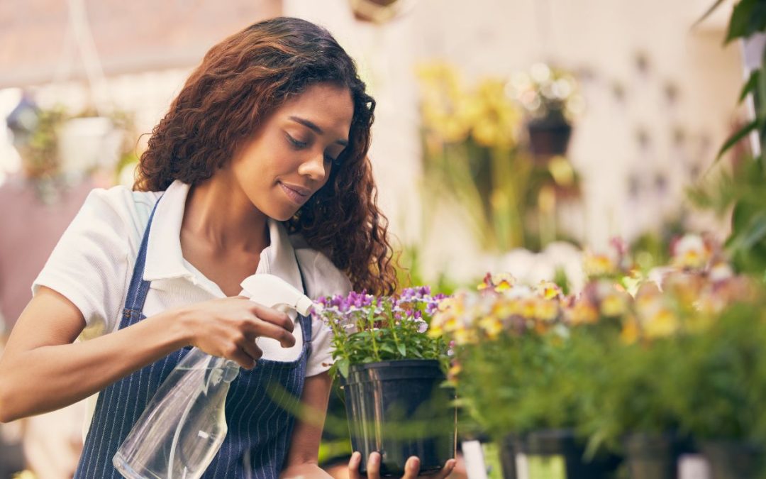 Common Mistakes to Avoid When Caring for Blooming Potted Plants and How Professionals Can Help