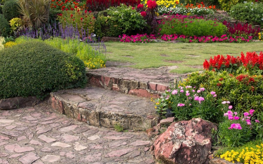 Creative Ways to Incorporate Outdoor Plants into Your Home’s Design