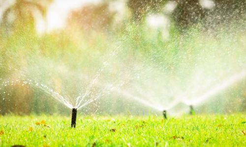 Pool - residential gardening services