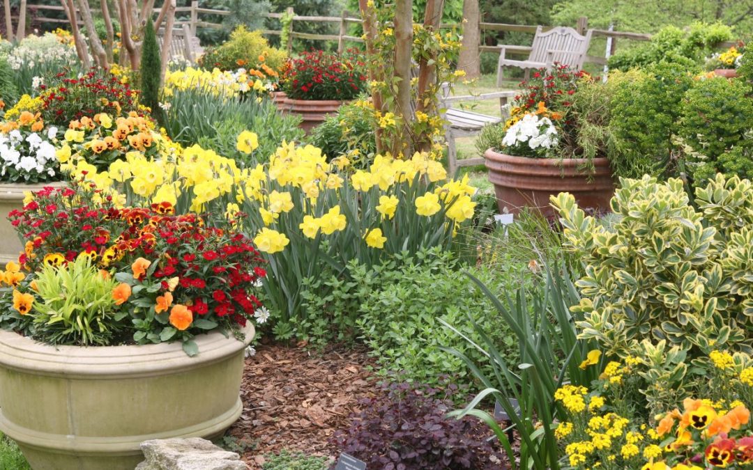 Enhance Your Business Curb Appeal with Custom Container Gardens
