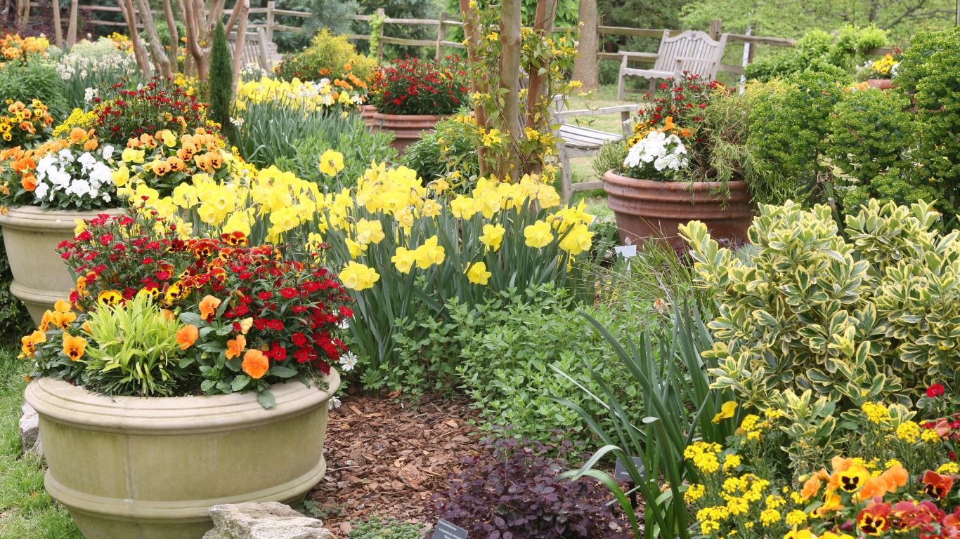 Vibrant container gardens with colorful flowers and greenery, perfect for boosting curb appeal at businesses.