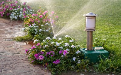 Transform Your Yard into a Water-Wise Wonderland with Irrigation Services