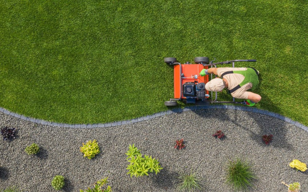 Keep Your Lawn in Perfect Harmony with Blue Tango’s Lawn Maintenance Services
