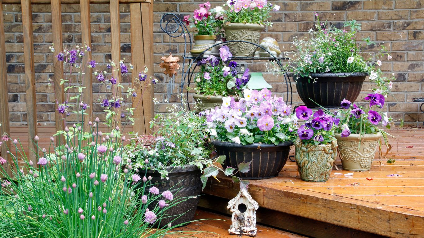 Deck filled with colorful potted flowers showcasing professional container gardening services.