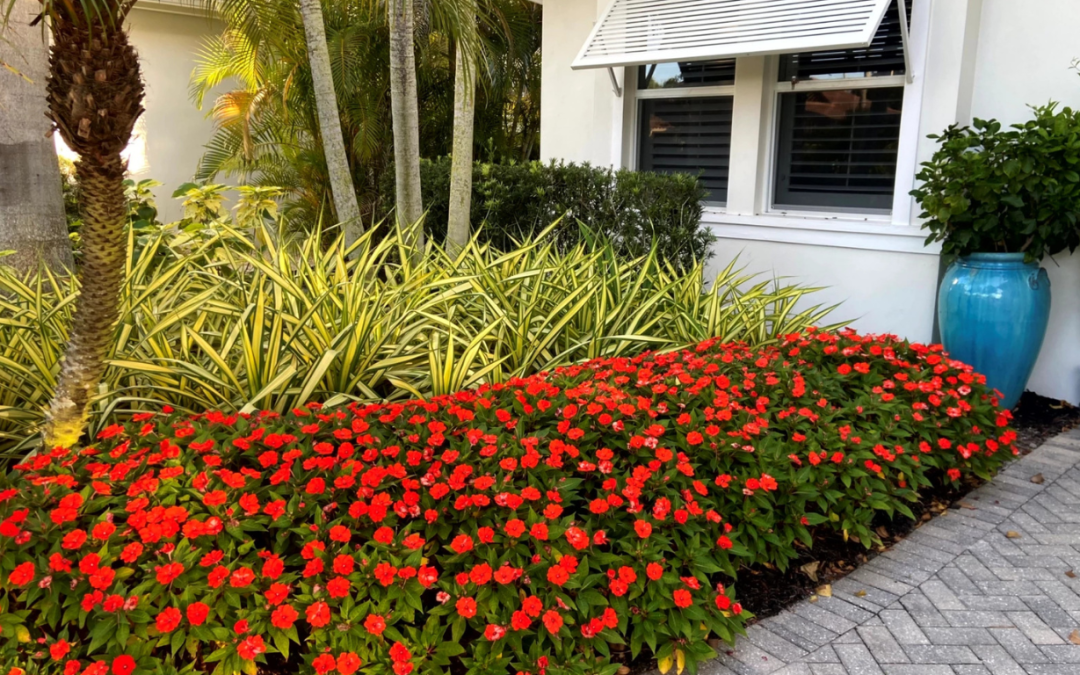 A Seasonal Yard Care Checklist for Homeowners in Naples with Residential Gardening Services