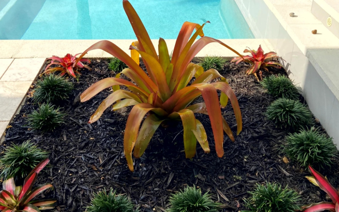 How to Prevent Common Issues in HOA Landscape Maintenance Before They Become Complaints