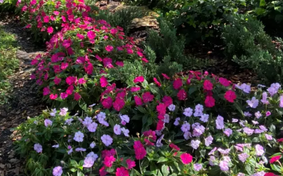 10 Ways Residential Gardening Services Help Naples Gardens Thrive