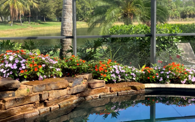 How to Improve Commercial Pool Areas with Landscaping