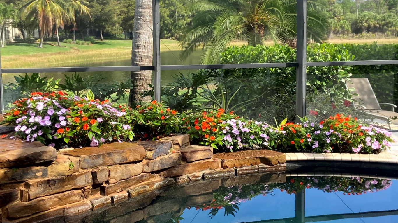 How to Improve Commercial Pool Areas with Landscaping Commercial Gardening Pool Areas