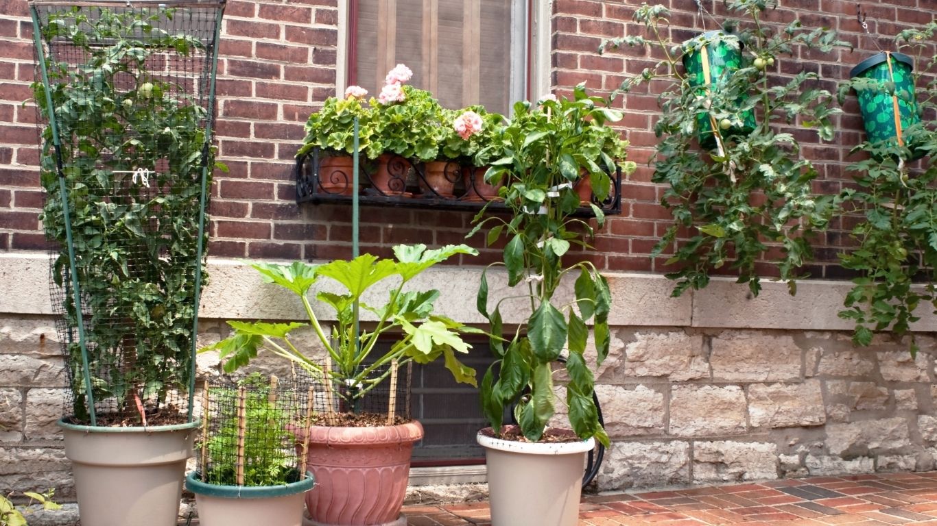 container gardening
