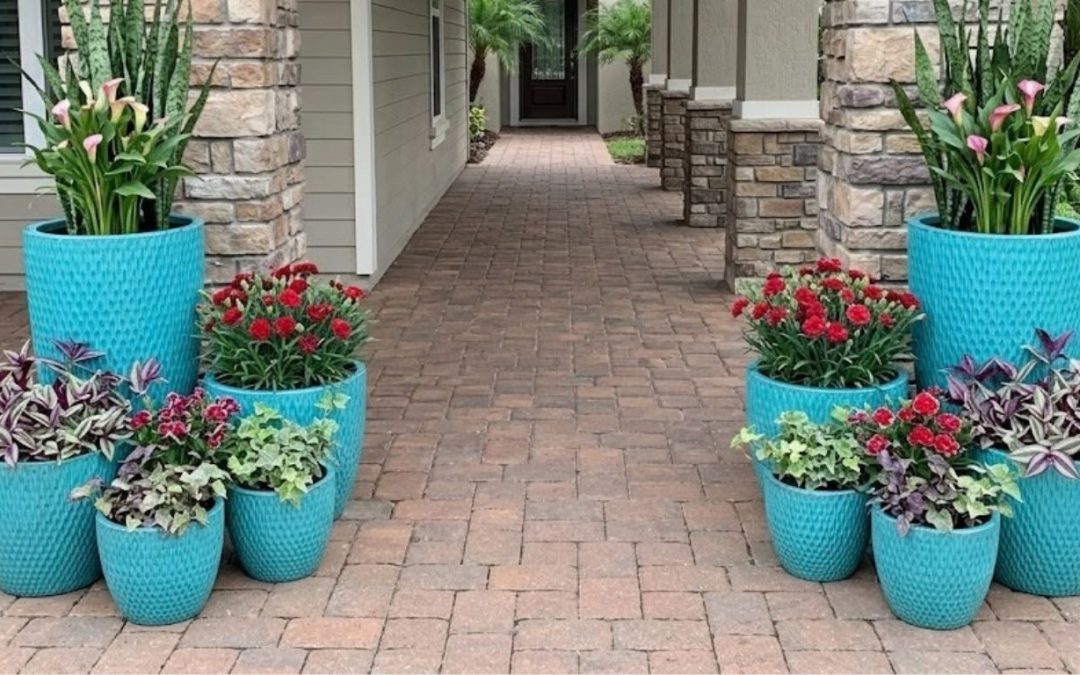 The Real Cost of Container Gardening in Naples (Is It Worth It?)
